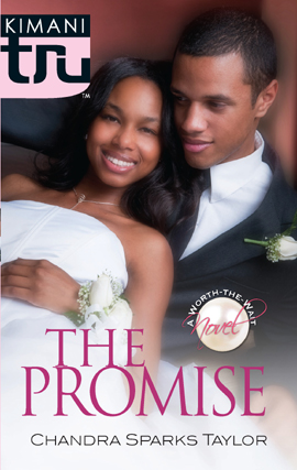 Title details for The Promise by Chandra Sparks Taylor - Available